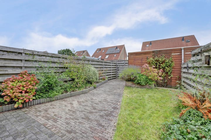 Foto 5 van Roerdomp 61