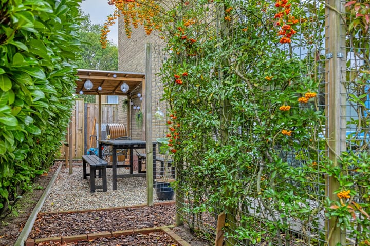 Foto 45 van Jac. P. Thijssepark 351