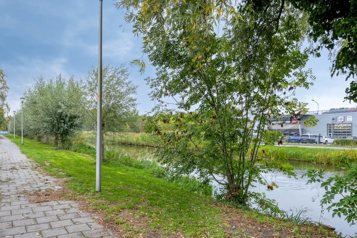 Foto 50 van Jac. P. Thijssepark 351