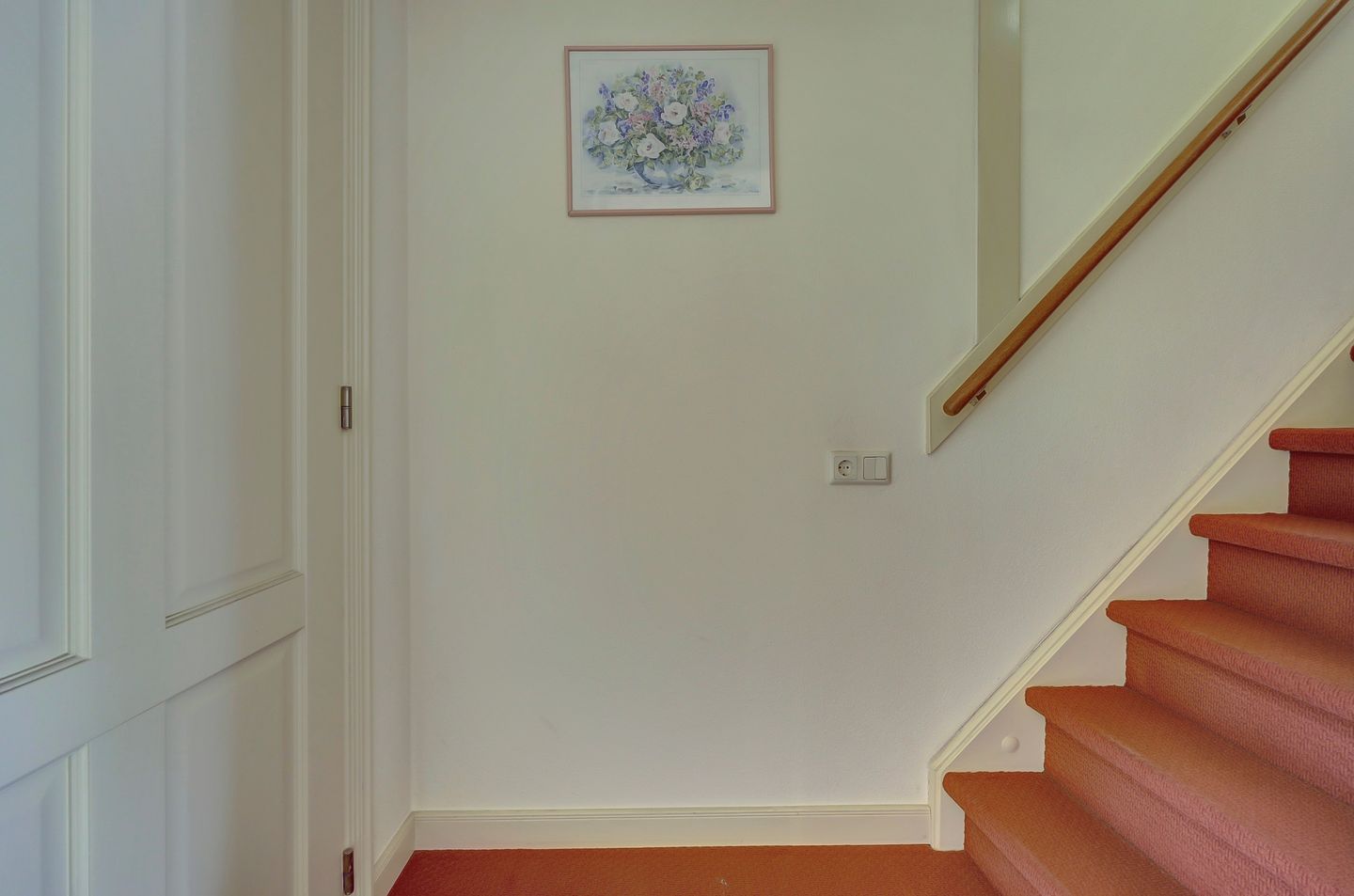 Foto 14 van Roerdomp 61