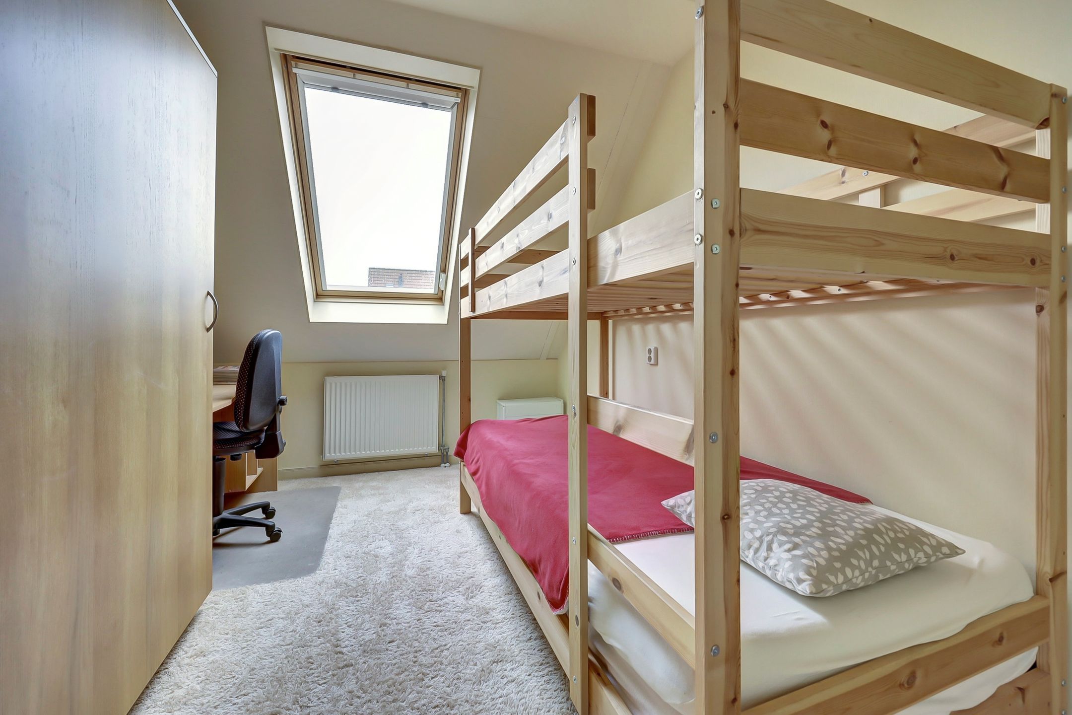 Foto 18 van Roerdomp 61