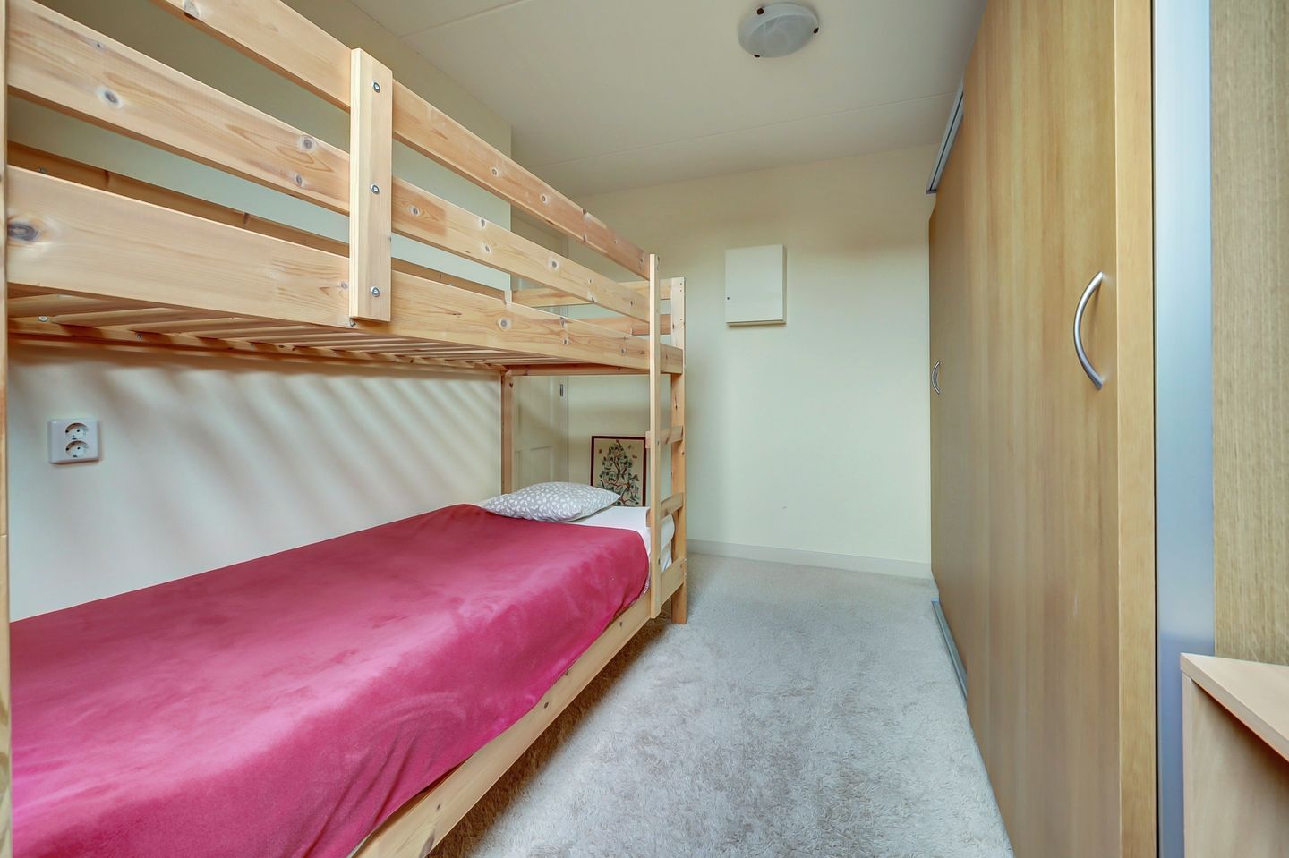 Foto 19 van Roerdomp 61