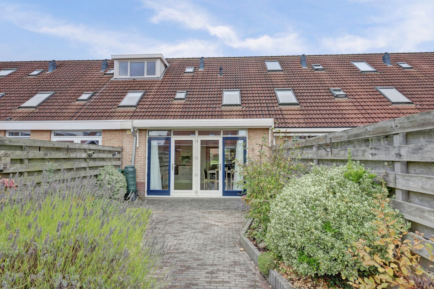 Foto 25 van Roerdomp 61