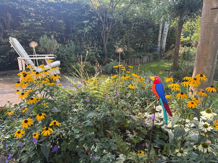 Photo 31 of Ganzenhof 13