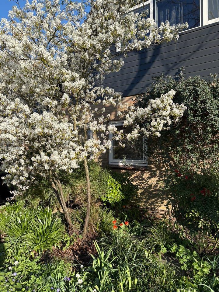 Photo 36 of Ganzenhof 13