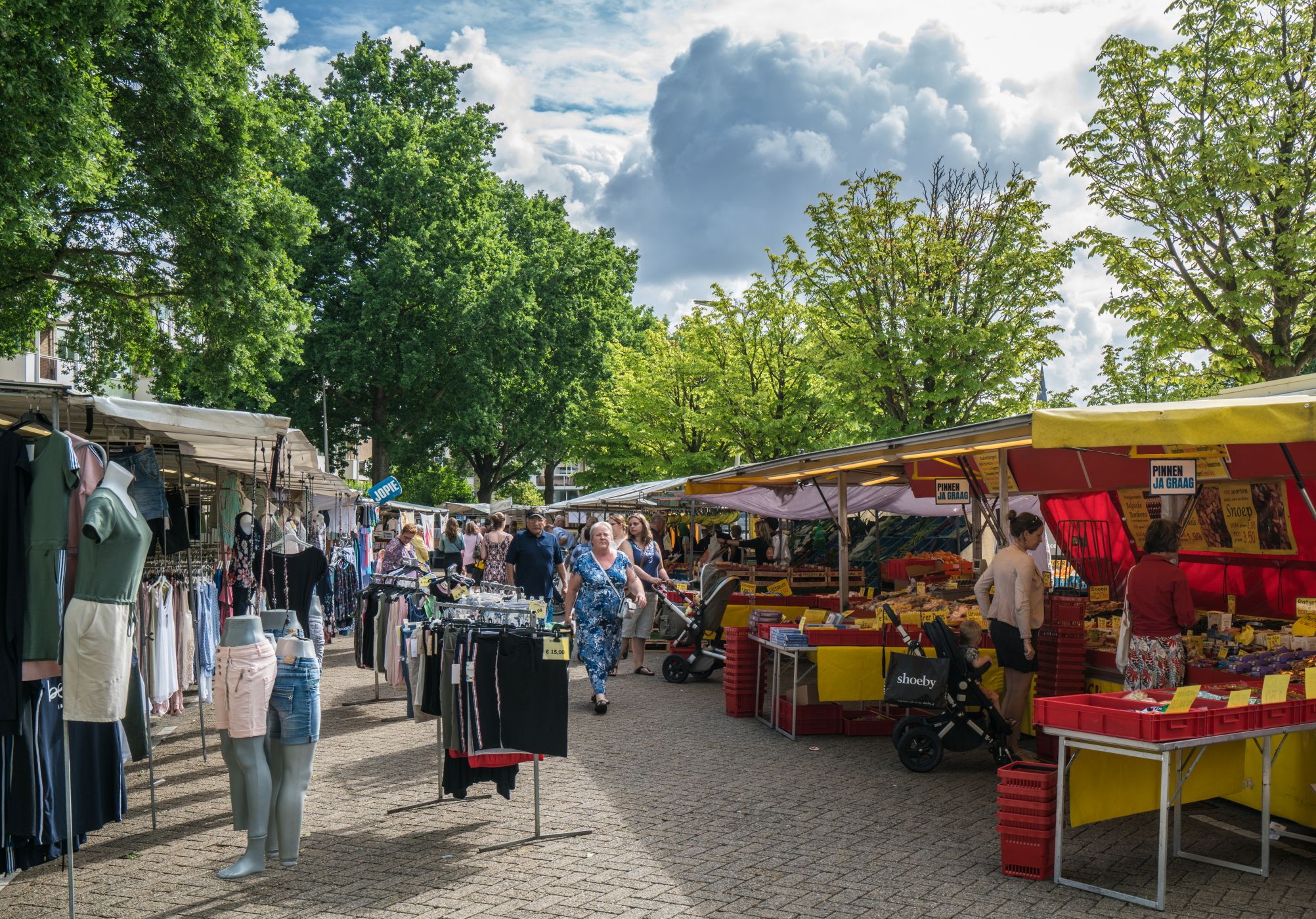 Foto 30 van Koolmees 111