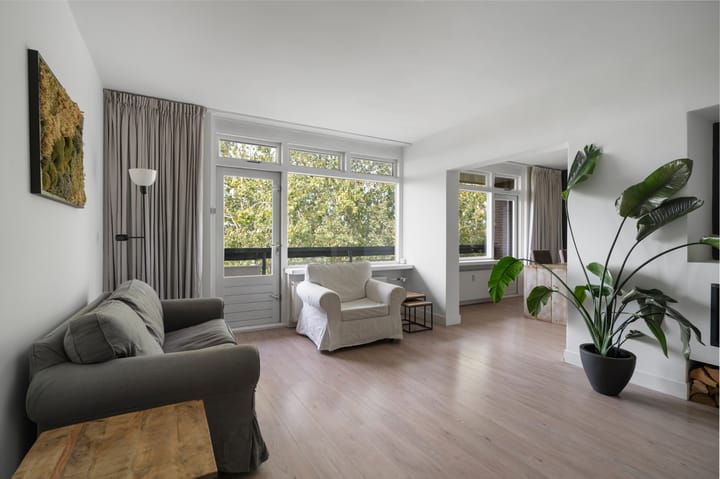 Bolestein 288 main image