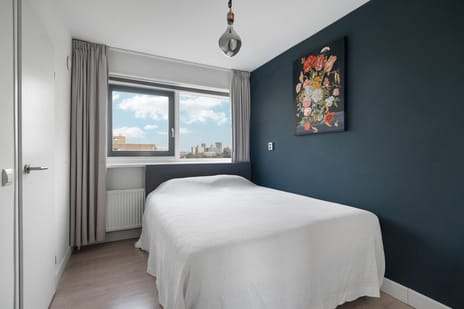 Bolestein 288 tertiary image