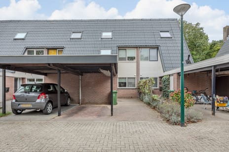 undefined main image