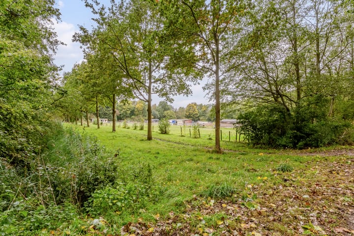 Foto 60 van Karveel 22 13