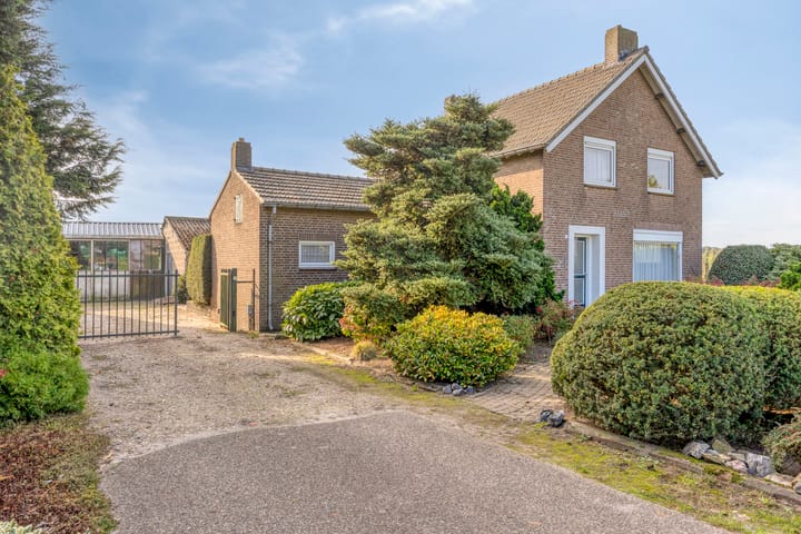 Foto 3 van Roland 10