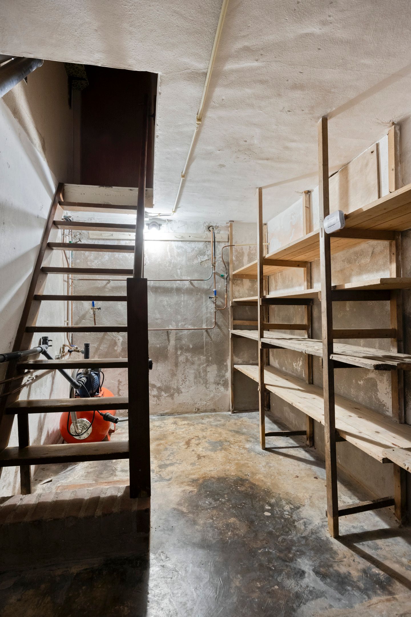 Foto 24 van Roland 10