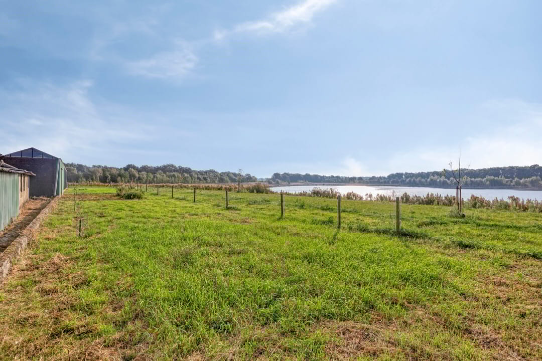 Foto 67 van Roland 10