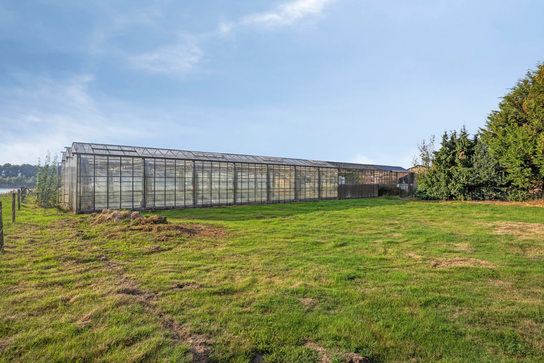 Foto 63 van Roland 10