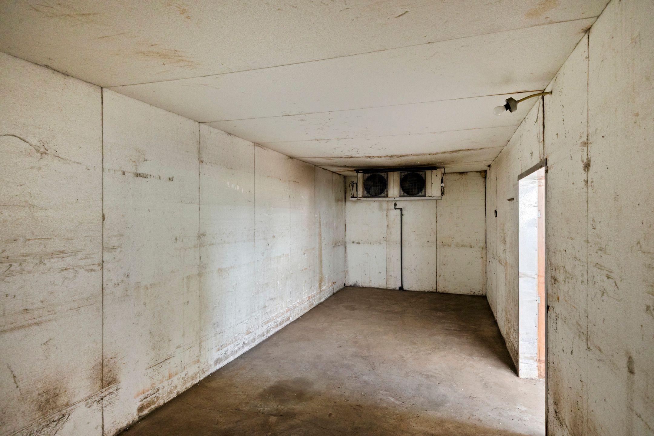 Foto 51 van Roland 10