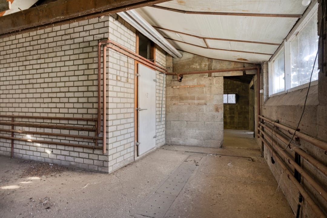 Foto 58 van Roland 10