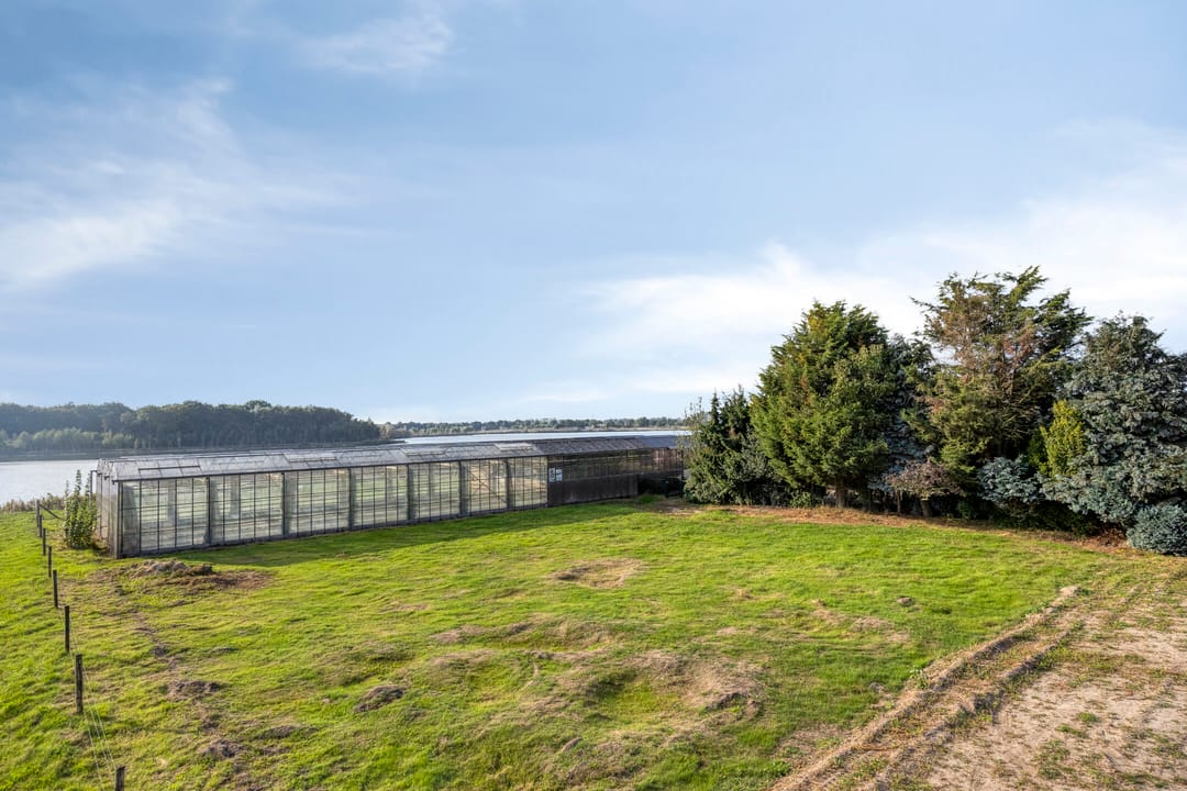 Foto 62 van Roland 10