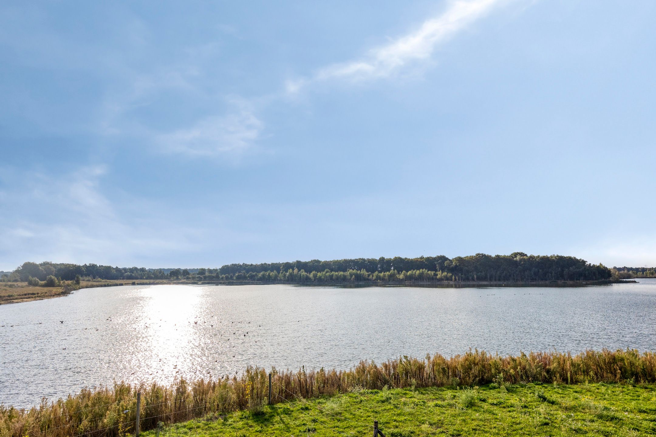 Foto 66 van Roland 10