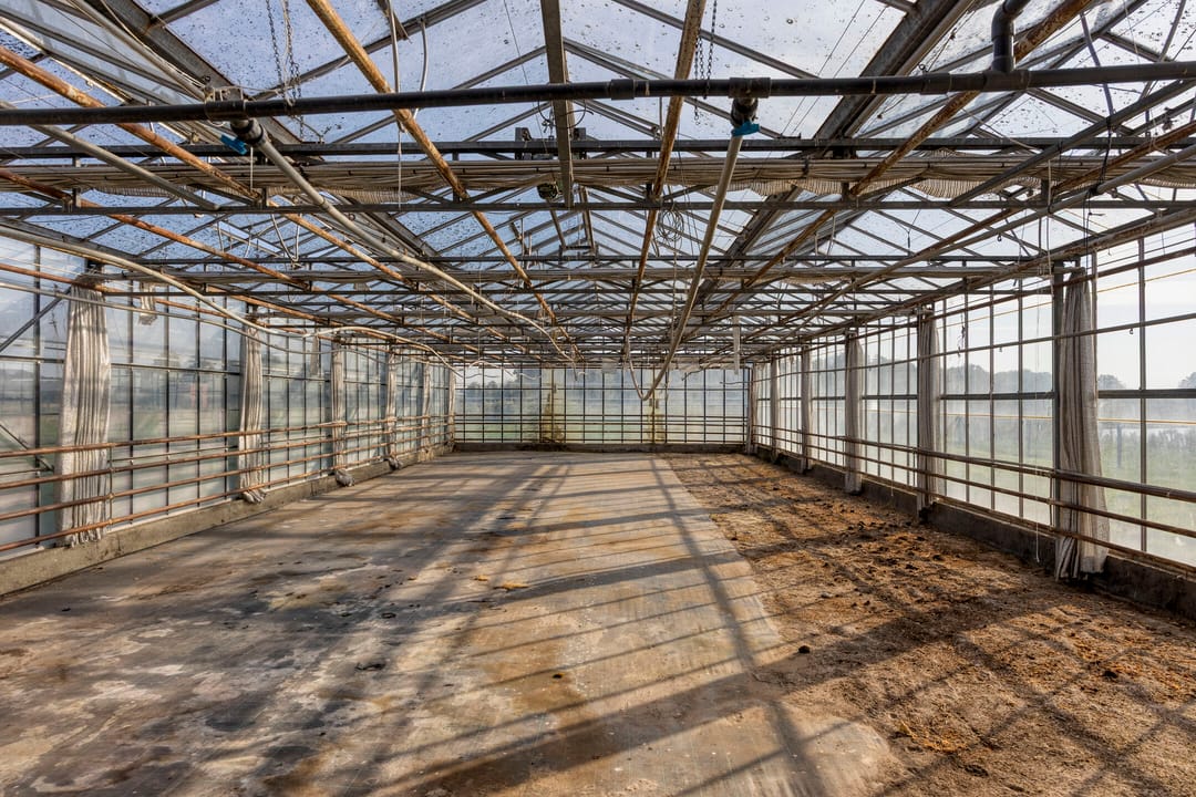 Foto 52 van Roland 10