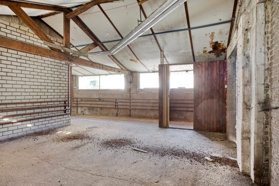 Foto 56 van Roland 10