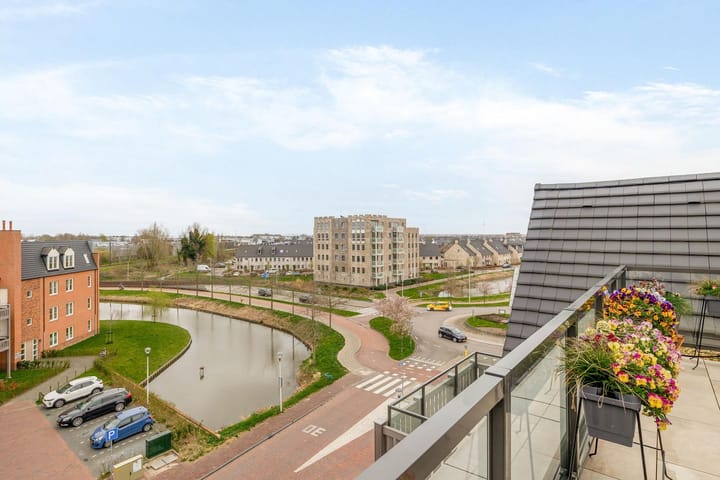 Foto 23 van Rozet 45