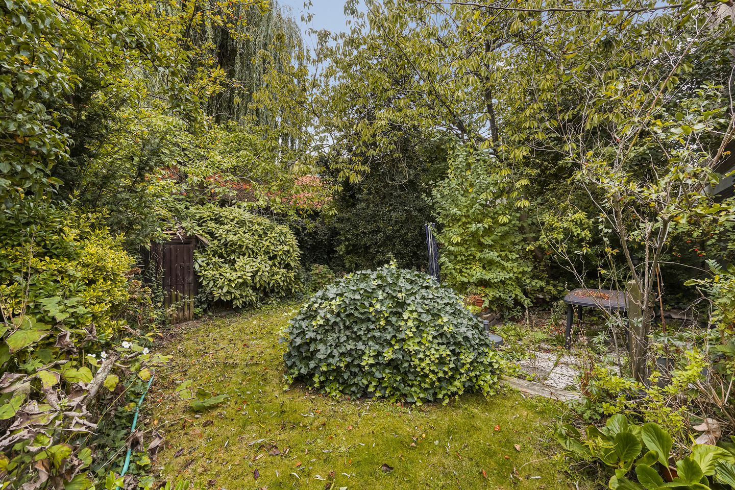 Foto 29 van Kievitstraat 36