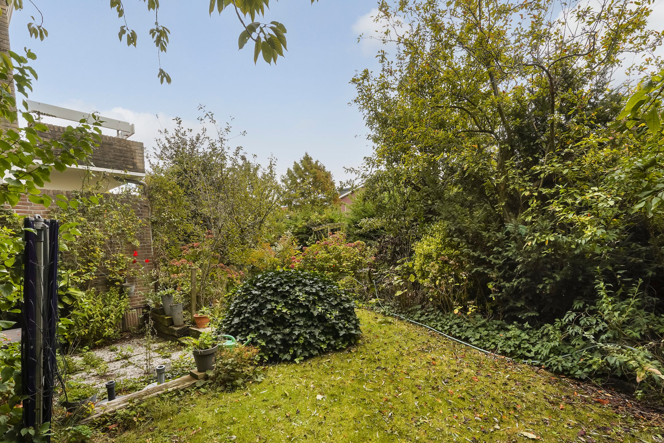 Foto 30 van Kievitstraat 36