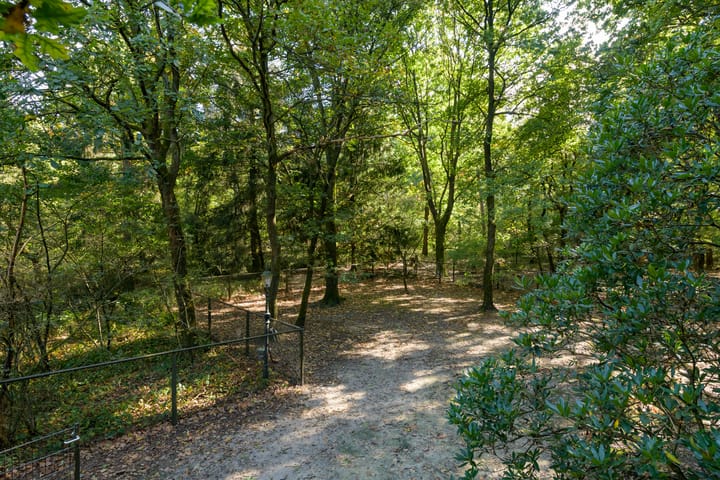 Foto 4 van Zonnegloren 19