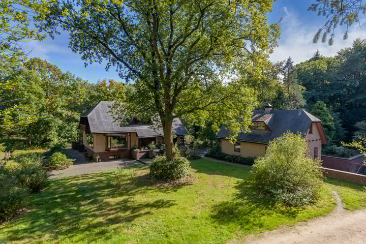 Foto 17 van Zonnegloren 19