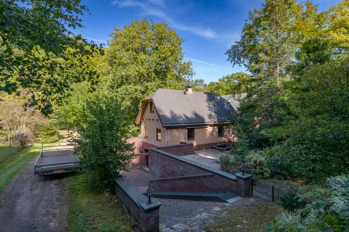 Foto 19 van Zonnegloren 19