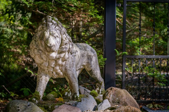 Foto 29 van Zonnegloren 19