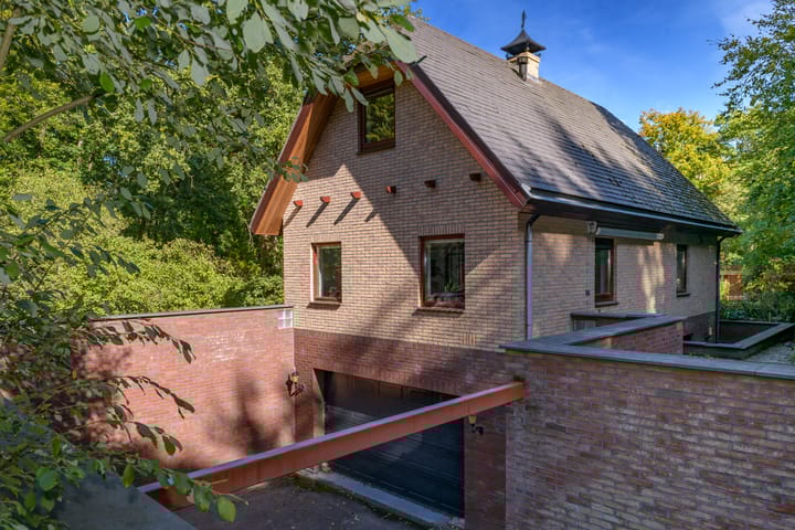 Foto 36 van Zonnegloren 19