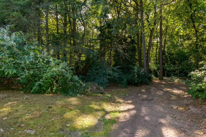 Foto 38 van Zonnegloren 19