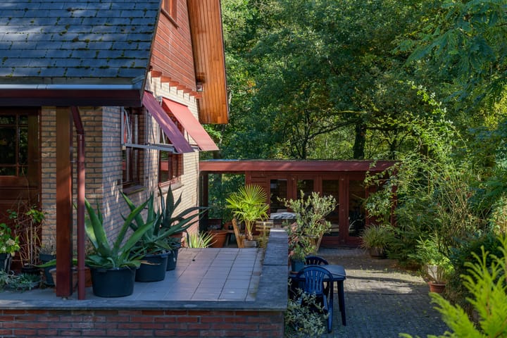 Foto 40 van Zonnegloren 19