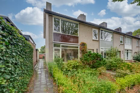 undefined main image