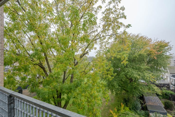 Foto 16 van Platostraat 146