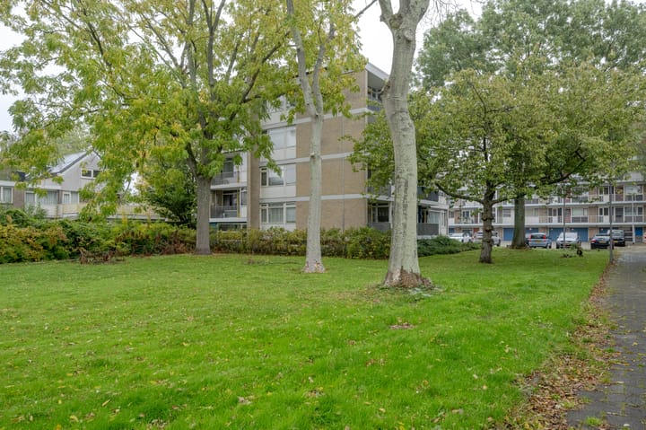 Foto 17 van Platostraat 146