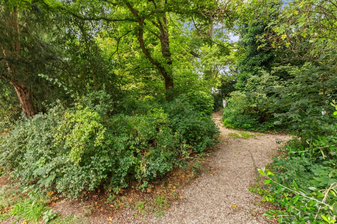 Foto 37 van Delistraat 5