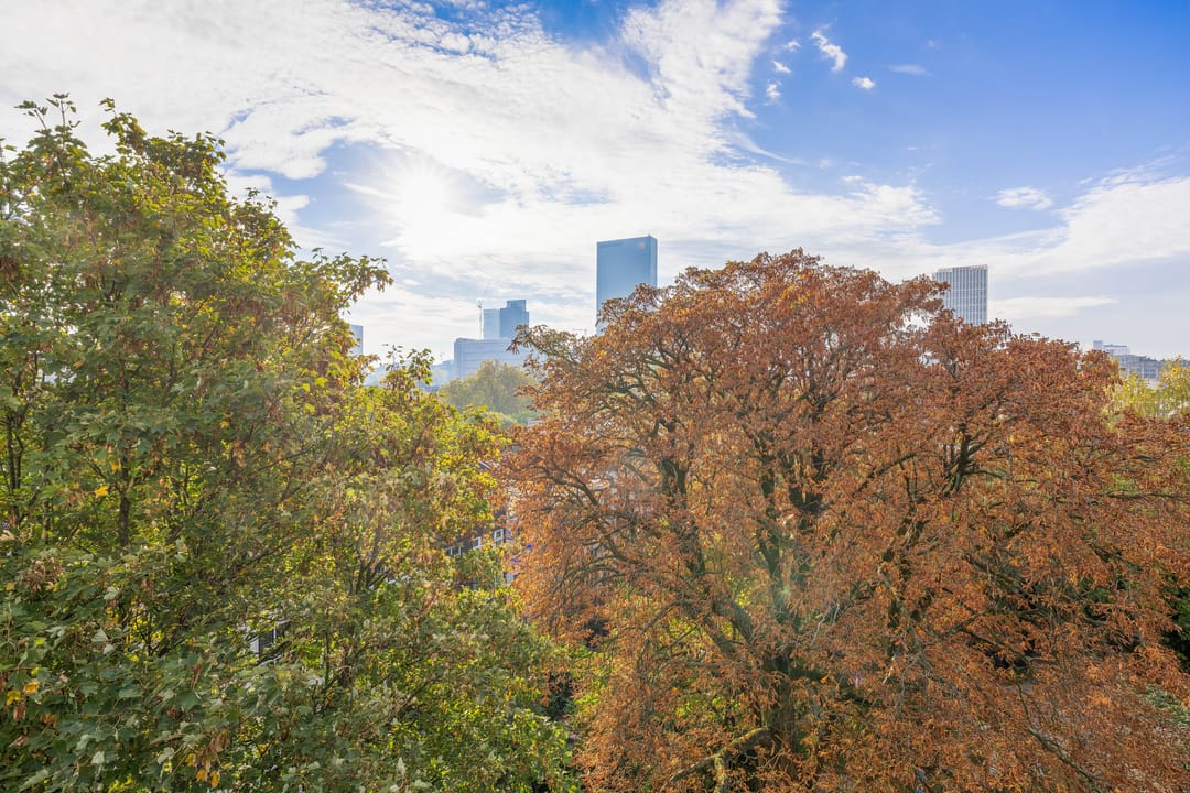 Foto 8 van Walenburgerweg 74-K