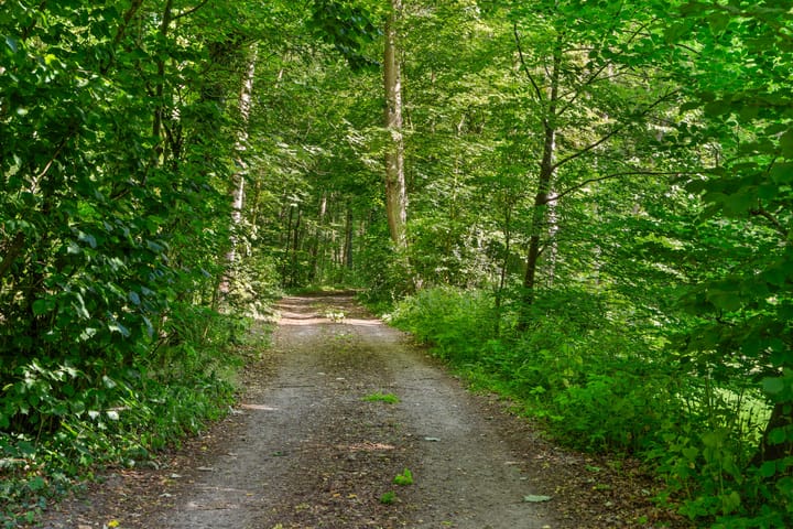 Foto 6 van Oud Huizerweg 3