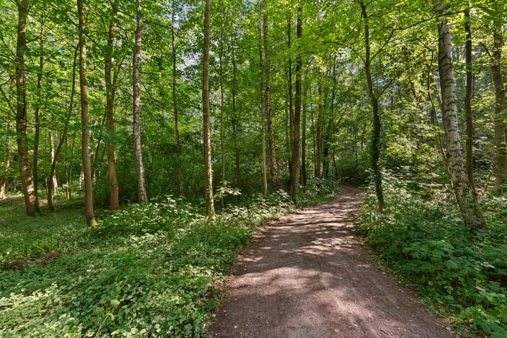 Photo 14 of Oud Huizerweg 3