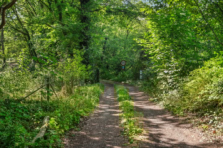 Photo 13 of Oud Huizerweg 3