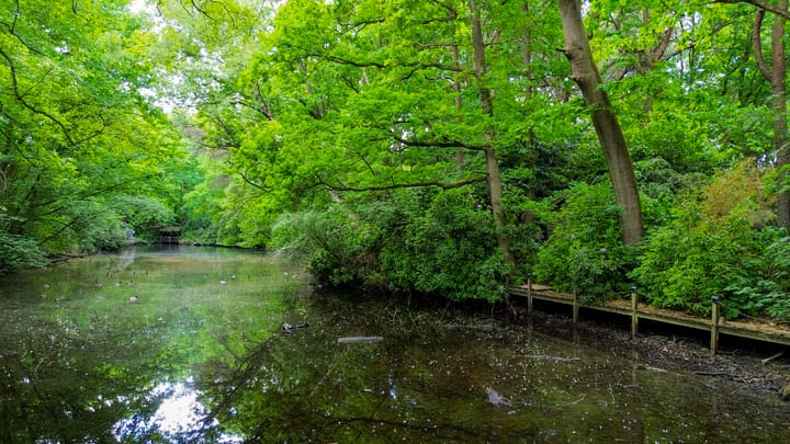 Foto 43 van Halderheiweg 15