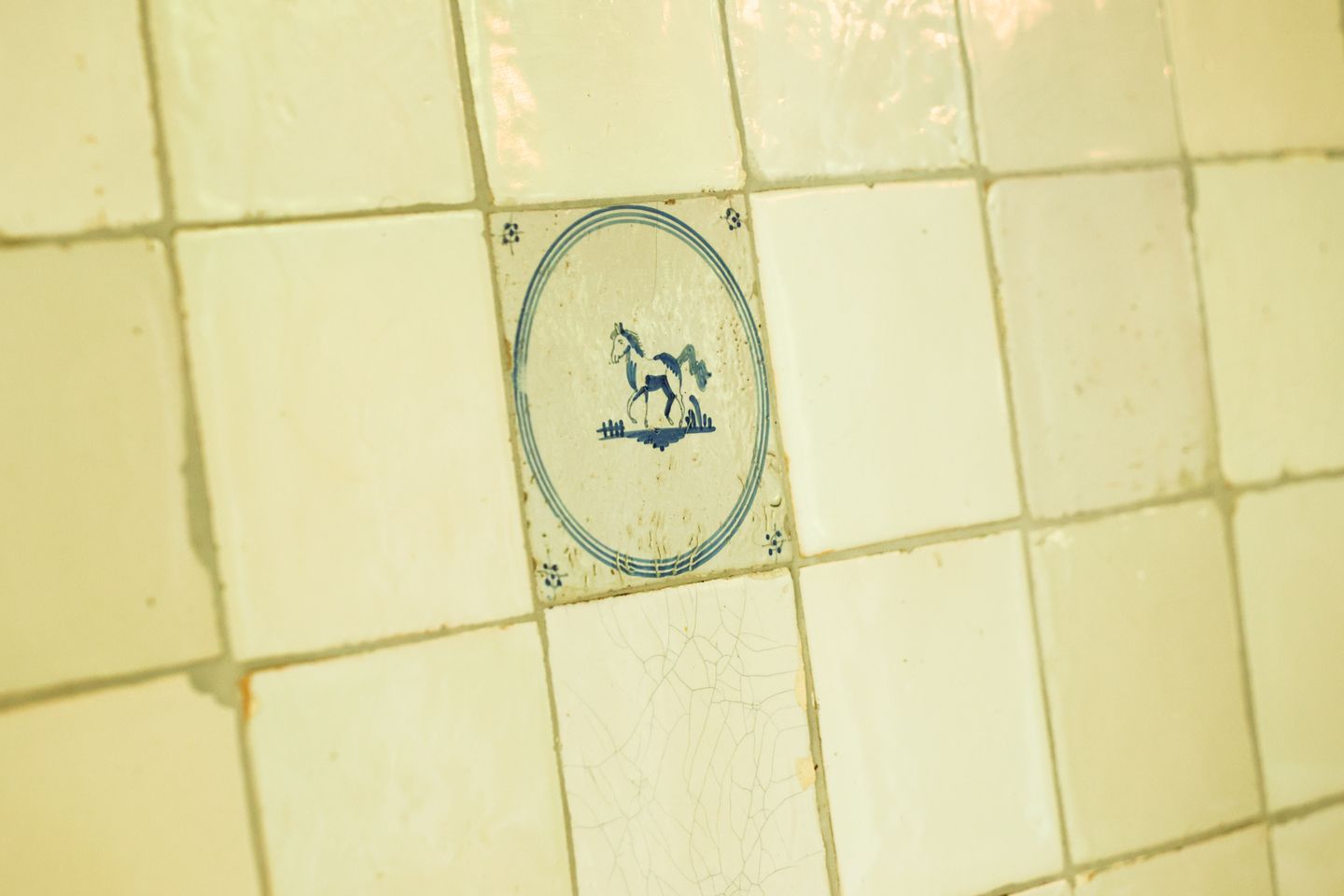 Foto 35 van Karnemelksweg 2