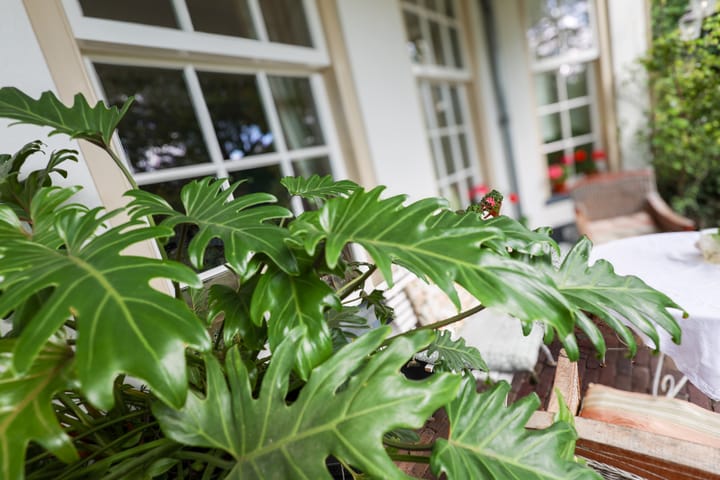 Foto 52 van Karnemelksweg 2