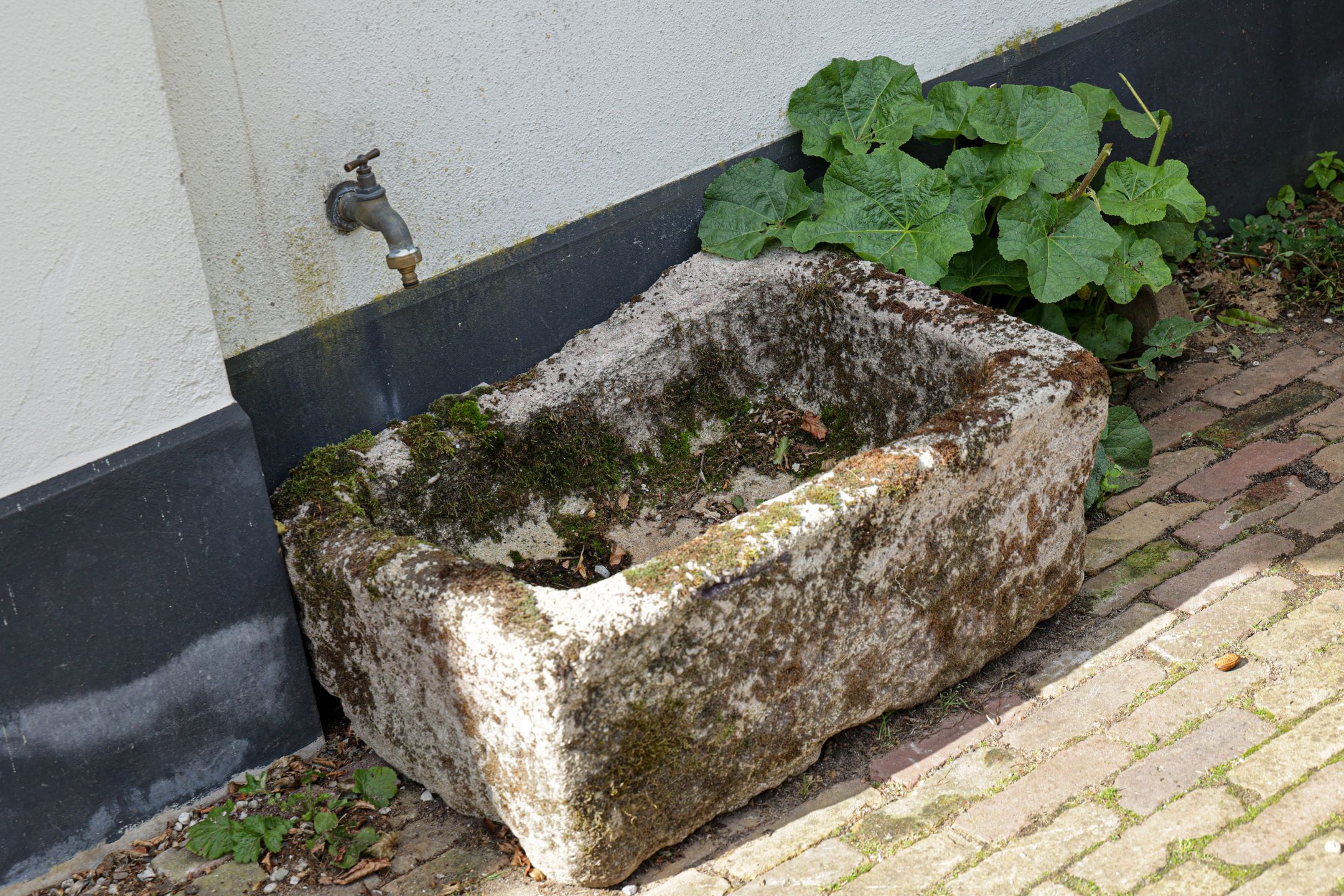 Foto 57 van Karnemelksweg 2