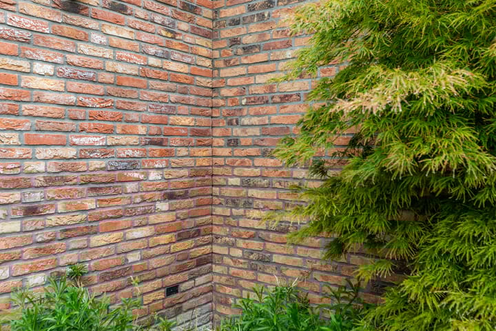 Foto 43 van Brancusistraat 44