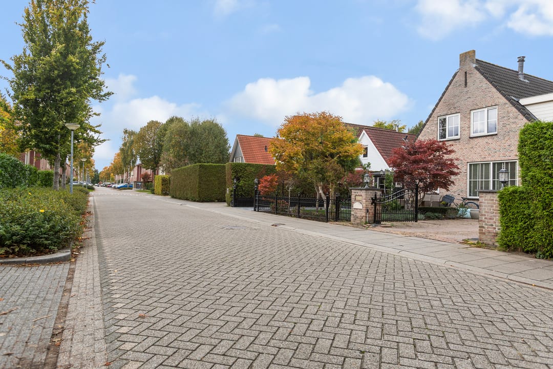 Photo 46 of Brancusistraat 44