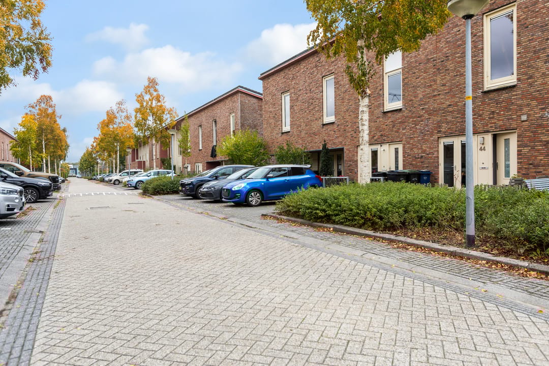 Photo 47 of Brancusistraat 44