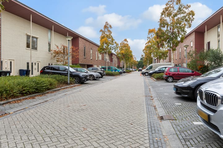 Foto 48 van Brancusistraat 44